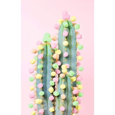  Puzzle moment de 200 pi&egrave;ces Ravensburger Cactus