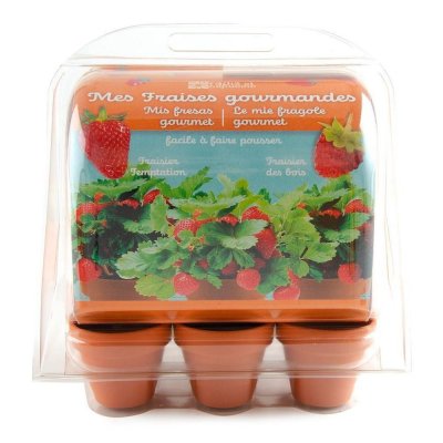 RADIS ET CAPUCINE  - Mini-Serre Pour Fraisiers - Plastique Recycl&eacute;
