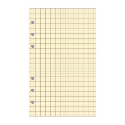 EXATIME Recharge accessoire  21 bloc quadrill&eacute; 40 feuillets 210x142 mm