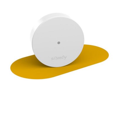 SOMFY Relais Radio  PROTECT