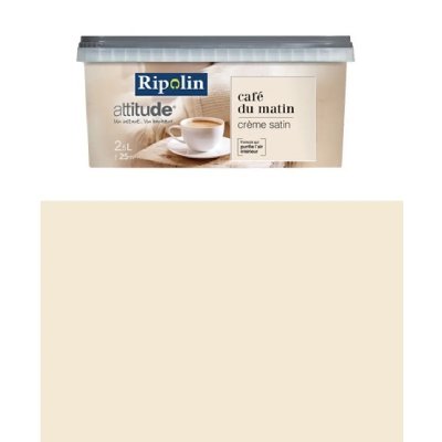 RIPOLIN  378740 Peinture