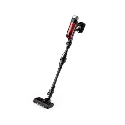 ROWENTA  Aspirateur balai X-Force Flex 9.60 Kit Animal RH2078WO