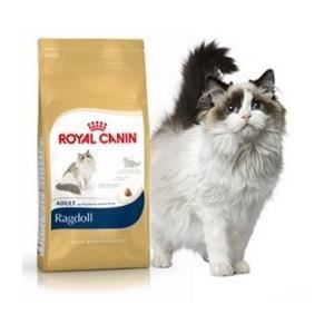 ROYAL CANIN BREED Royal Canin Ragdoll Poultry Adult 10kg Cat Food Multicolore 10kg
