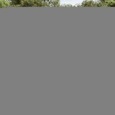 VIDAXL Salon de jardin avec coussins 14 pcs noir r&eacute;sine tress&eacute;e 3250395