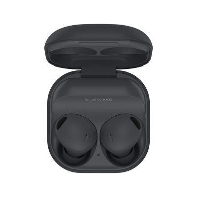 SAMSUNG  Ecouteur  Galaxy Buds2 Pro Anthra