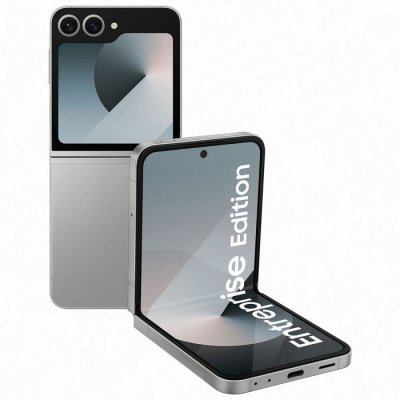 SAMSUNG  Galaxy Z Flip6 256 Go Gris