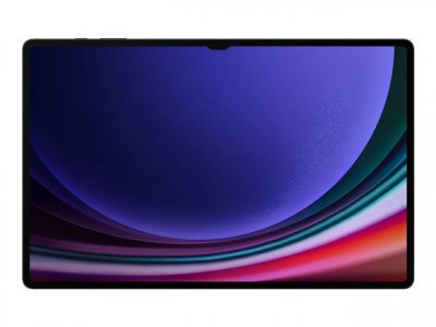 SAMSUNG  Tab S9 Ultra Wi-FI Uniquement 256 Go/12 Go Graphite UE