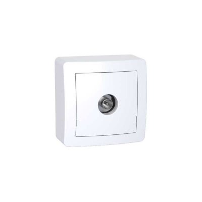 SCHNEIDER ELECTRIC  Prise TV simple Alrea m&acirc;le blind&eacute;e (Lot de 2)