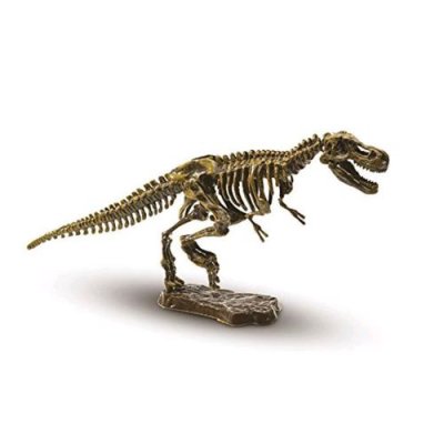 SES CREATIVE  Excavation d'un squelette de T-rex 20 x 20 cm Explorez