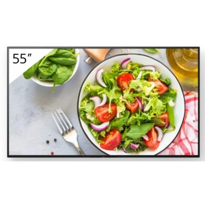SONY -FW-55BZ35L-Moniteurs 55''