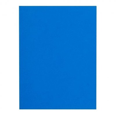 EXACOMPTA Sous-chemises recycl&eacute;es 80 g Flash 22 x 31 cm couleurs - Paquet de 100 - bleu fonc&eacute;