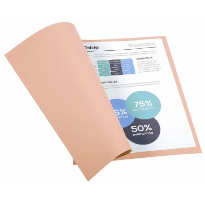 EXACOMPTA Sous-dossier  forever rose a4 (100 unit&eacute;s)
