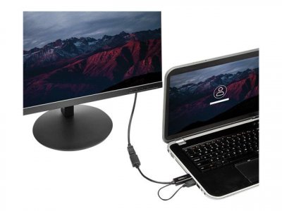 STARTECH.COM  Adaptateur HDMI vers DisplayPort 4K - Aliment&eacute; par USB