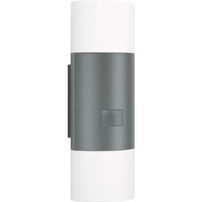 STEINEL  - Applique &agrave; capteur Anthracite l 910 led 576202 Anthracite