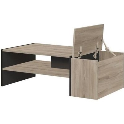 Table basse coffre de rangement naturel clair