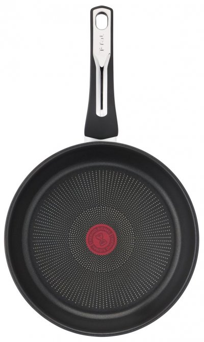 TEFAL  Po&ecirc;le en acier inoxydable Emotion . Couleur: Gris