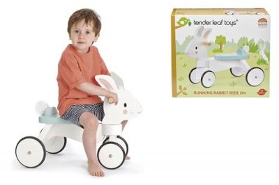 TENDER LEAF  Toys loopfiets Draisienne &agrave; 4 Roues Junior Blanc