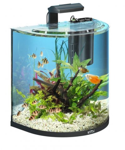 TETRA  AquaArt Explorer Line Aquarium Set 60 L - Noir - Pour poisson