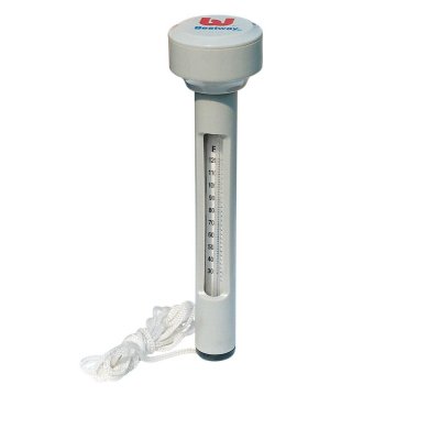 BESTWAY Thermometre flottant en abs 58072 - 