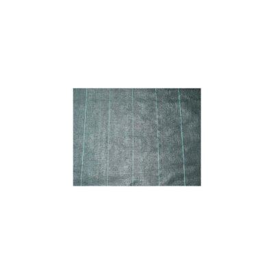 NATURE Toile de paillage 100 gr/ m&sup2; noir pr&eacute;d&eacute;coup&eacute;e, Dimensions 2 x 5 m