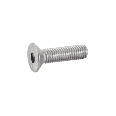ACTON TOPCAR - 100 vis inox FHC10X40 - 7991-10X40