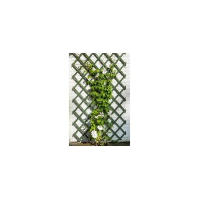 NATURE Treillis extensible en bois color&eacute; vert - 50 x 150 cm - 