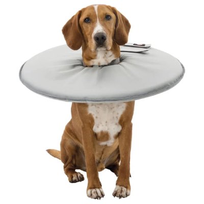 TRIXIE  Collier de Protection pour Chien Taille L-XL 53-56 cm/27 cm