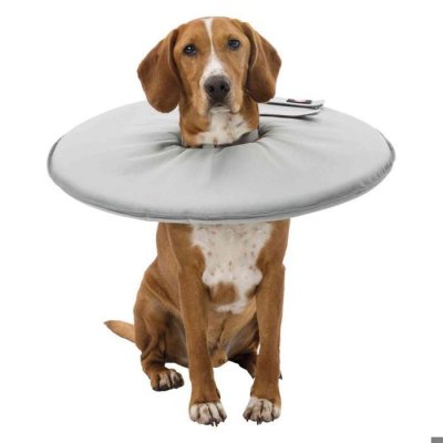 TRIXIE  Collier de Protection pour Chien Taille M 38-42 cm/21.5 cm