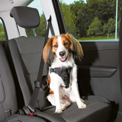 TRIXIE  Dogprotect Harnais De S&eacute;curit&eacute;, Sm, 40-55Cm / 20Mm Black