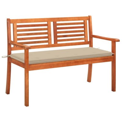 VIDAXL Tuinbank 2-zits met kussen 120 cm massief eucalyptushout3060972