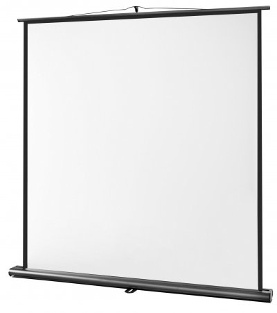 CELEXON Ultramobile Professional - Ecran de projection - sur le sol - 100"" (255 cm) - 1:1 - Type D 