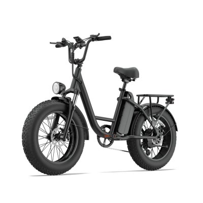 GENERIQUE V&eacute;lo Electrique URLIFE E20 PRO 750W 48V15.6Ah 20"" Freins &agrave; Disque eBike - Noir