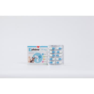 VETOQUINOL V&eacute;toquinol Zylk&egrave;ne 75 mg pour chat et chien < 10 kg - 100 g&eacute;lules