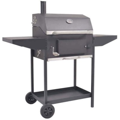 VIDAXL  Barbecue au charbon de bois avec &eacute;tag&egrave;re inf&eacute;rieure Noir 