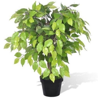 VIDAXL  - Palmier Artificiel Plastique avec Pot 60 cm n/a