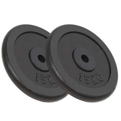 VIDAXL  - Plaque de poids 2 pcs 2x15 kg Fonte n/a