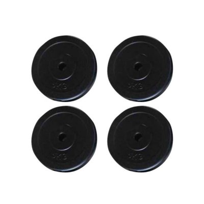 VIDAXL  plaque de poids 4 pcs 20 kg