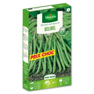 VILMORIN  1149564 Pack de Graines Haricot Delinel Obtention