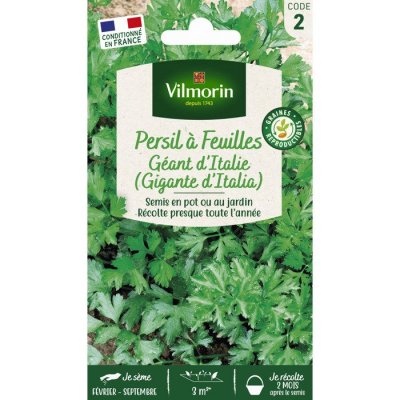 VILMORIN  3790542 Pack De Graines Persil Commun G&eacute;ant D'Italie
