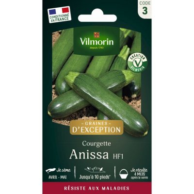 VILMORIN  - Courgette Anissa HF1 (Obtention ) - SDJ