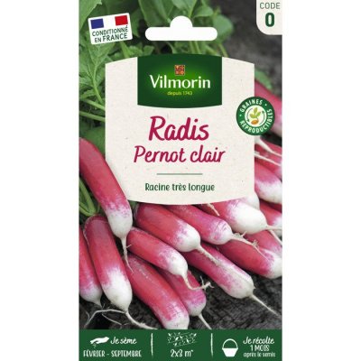 VILMORIN  Radis Pernot clair