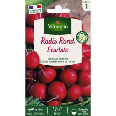 VILMORIN  - Radis ronds &eacute;carlate