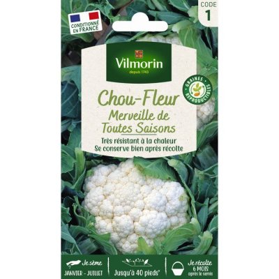 VILMORIN  - Sachet graines Chou-fleur Merveille de toutes saisons