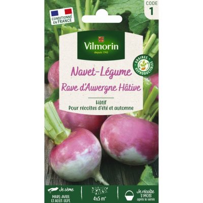 VILMORIN  - Sachet graines Navet rave d'auvergne h&acirc;tif