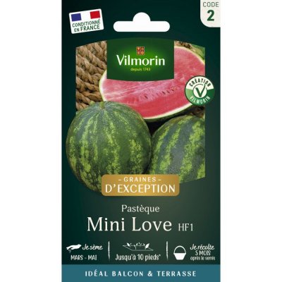 VILMORIN  - sachet graines Past&egrave;que mini love HF1 