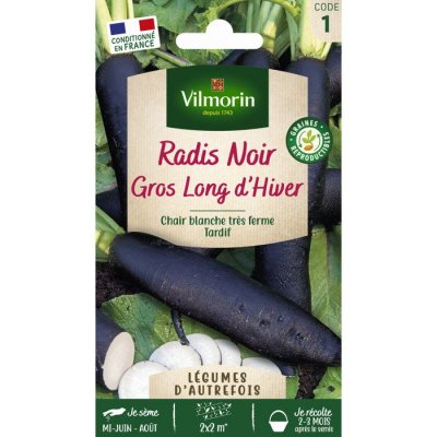 VILMORIN  - Sachet graines Radis Noir Gros Long d'hiver