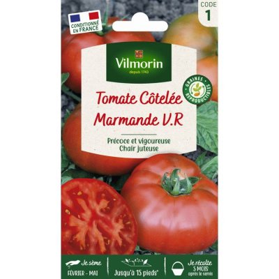 VILMORIN  Tomate Marmande Sachet de graines
