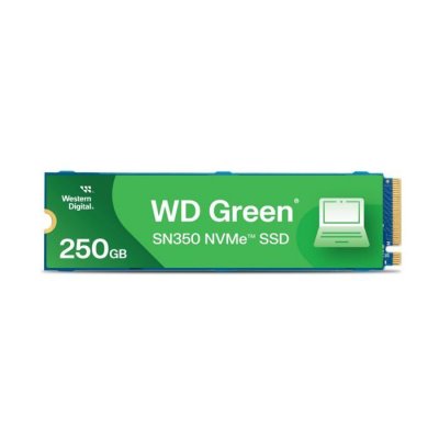 WESTERN DIGITAL  Green SN350 M.2 250 Go PCI Express 3.0 TLC NVMe