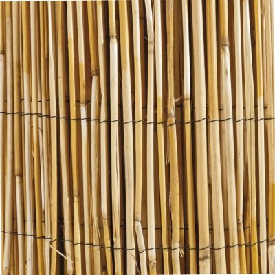 WINDHAGER  06523 Canisse Roseau Naturel Beige 1 x 5 m