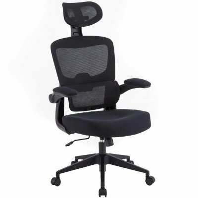 WOXTER  Ergo Black - Chaise de Bureau/Bureau, Ergonomique, Couleur Noire